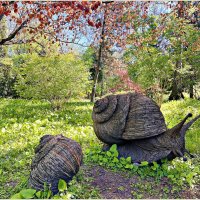 Улитки Ландшафтного парка. :: Валерия Комова