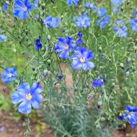 ,,, :: Сергей Тимоновский