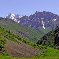 ПО ВЕРХАМ. :: Виктор Осипчук