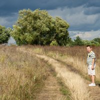 В воздухе веет грозой :: Геннадий Фадеев