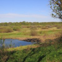 В пойме Оки :: Евгений Корьевщиков