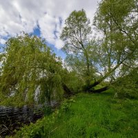 *** :: Николай Гирш