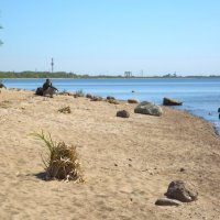 Песчаный берег :: Танзиля Завьялова Песчаный берег :: Танзиля Завьялова