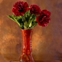 пионы :: Игорь Kуленко