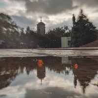 Сквозь осеннее пространство. :: Анатолий Щербак Сквозь осеннее пространство. :: Анатолий Щербак