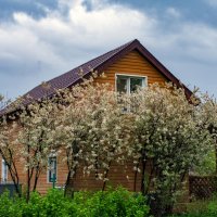 А за окошком месяц май ... :: Петр А за окошком месяц май ... :: Петр