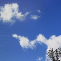 Красивые облака :: Людмила Смородинская Красивые облака :: Людмила Смородинская