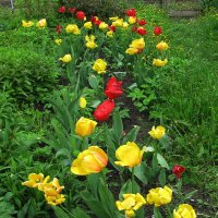 Красота в саду :: Людмила Смородинская