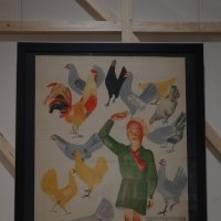 Всегда готов! :: zavitok *