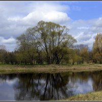 Весна ... :: Aleksandr Gal