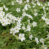 ,,, :: Сергей Тимоновский