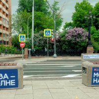 Москва на сиреневой волне. :: Татьяна Помогалова