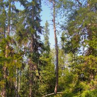 Эксперимент 6 :: Andy 