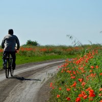 ...я долго буду гнать велосипед... :: Надежда Куркина 