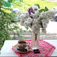 Май. :: Венера Чуйкова