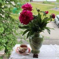 Май. :: Венера Чуйкова