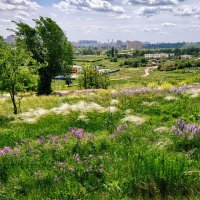 Ростовские зарисовки :: Александр Гапоненко Ростовские зарисовки :: Александр Гапоненко