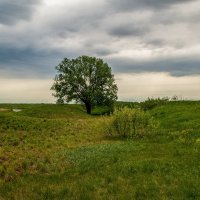 Утро на Клязьме  3 :: Андрей Дворников