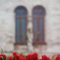 Овеяно чарами алых тюльпанов... :: Анатолий Щербак Овеяно чарами алых тюльпанов... :: Анатолий Щербак