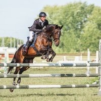 Конкур :: SanSan 