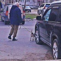 Май...Утренний променад среди машин! :: Владимир 