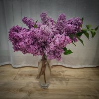 Букет сирени :: Андрей Шейко Букет сирени :: Андрей Шейко