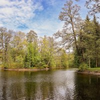 На Елагином :: skijumper Иванов