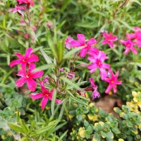 ,,, :: Сергей Тимоновский ,,, :: Сергей Тимоновский