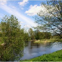 *** :: Aleksandr Gal