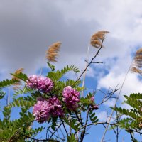 *** :: Павленко Михаил *** :: Павленко Михаил