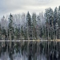 Утренний шёпот зимы. :: Галина Левина
