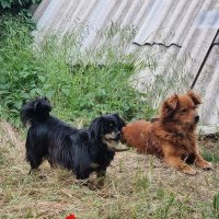 Внимание! :: Наталья 