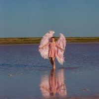 Гламурный ангелок :: Тамара Нижельская