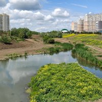 Ростовские зарисовки :: Александр Гапоненко