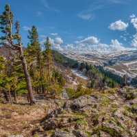 На плато Лаго-Наки. :: Аnatoly Gaponenko