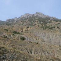 Природа Крыма :: Amazing Cosmea