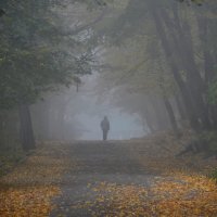 Осенний променад....... :: Юрий Цыплятников