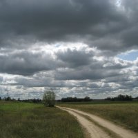 Дорога :: Anna Ivanova