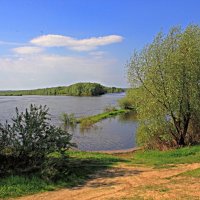 Устье реки Сеймы :: Евгений Корьевщиков