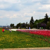 Весенняя Москва. Воробьевы горы. :: Наташа *****