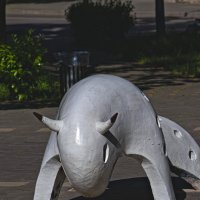 Севастопольский бык :: Giant Tao /