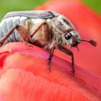 На старте :: Александр Ковальчук