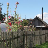 На задворках Свияжска :: Александр Ильчевский 