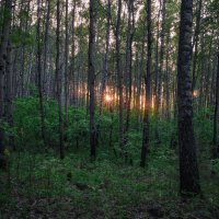 * :: Александр Иванов