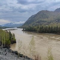 Мутные воды Катуни... :: владимир 