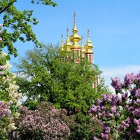 ... :: РИТА ЛЕВКОВА