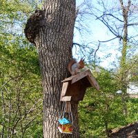 Маленькая хищница :: Виктор Маленькая хищница :: Виктор