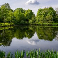 День пригожий... :: Николай Гирш