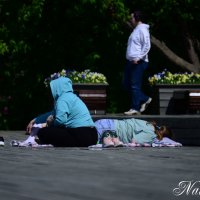 Загаральный сезон открыт. :: Наталья Вязигина