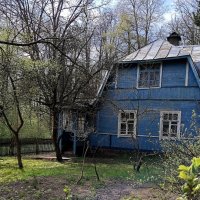 Домик в лесу... :: Мария Васильева